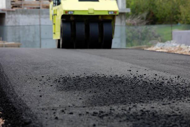Best Driveway Paving Contractor  in Ocoee, FL