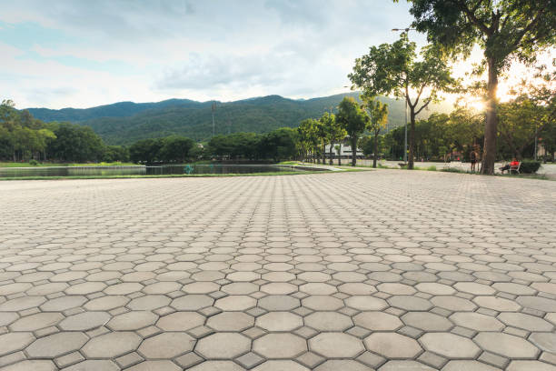 Best Concrete Paver Driveway  in Ocoee, FL