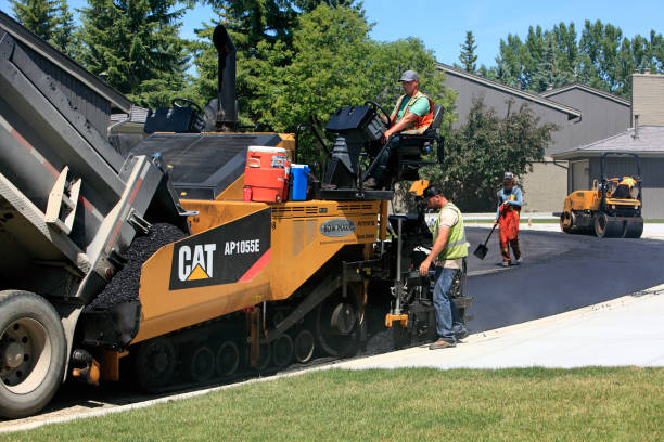 Best Professional Driveway Pavers  in Ocoee, FL